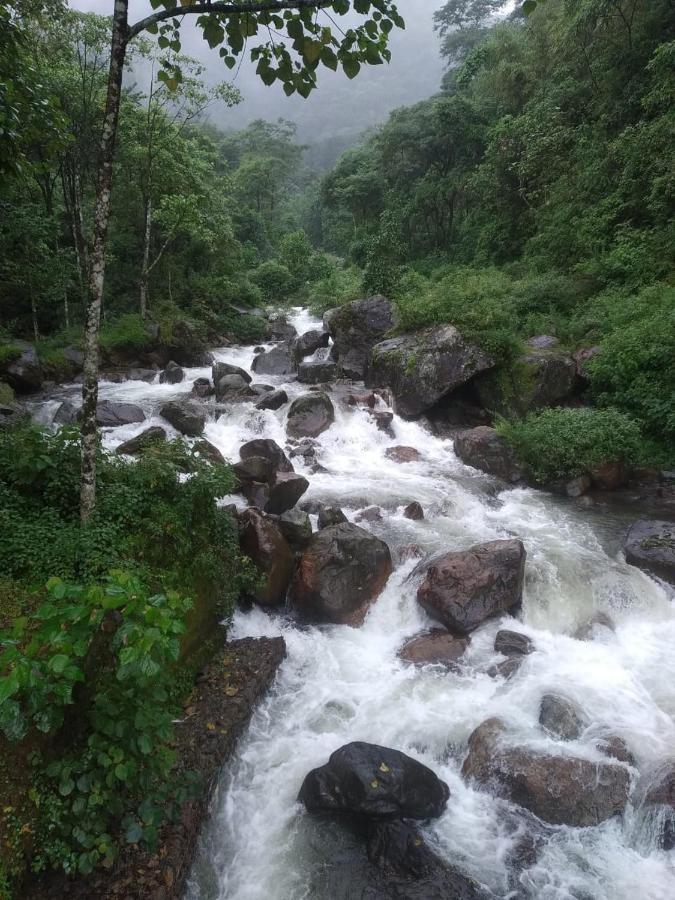 Aranya Baas Homestay Sukhia Pokhari Buitenkant foto